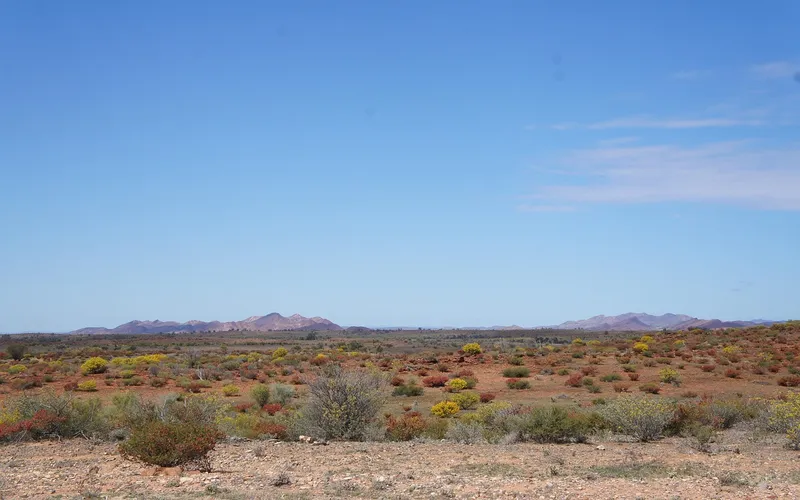 Australia australian desert outback australia landscape nature