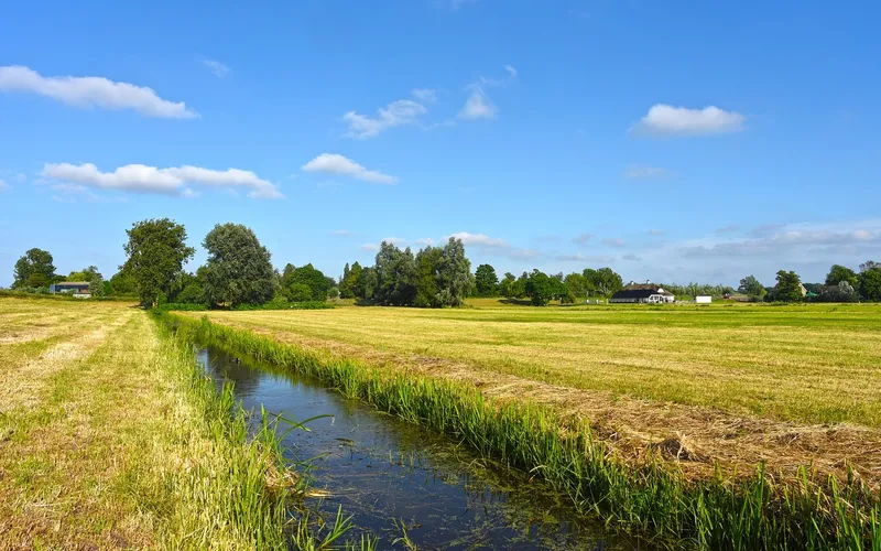 Netherlands field grass nature water